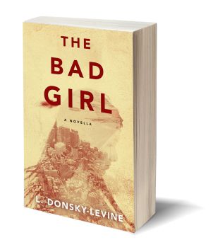 The Bad Girl 3D-Book-Template.jpg