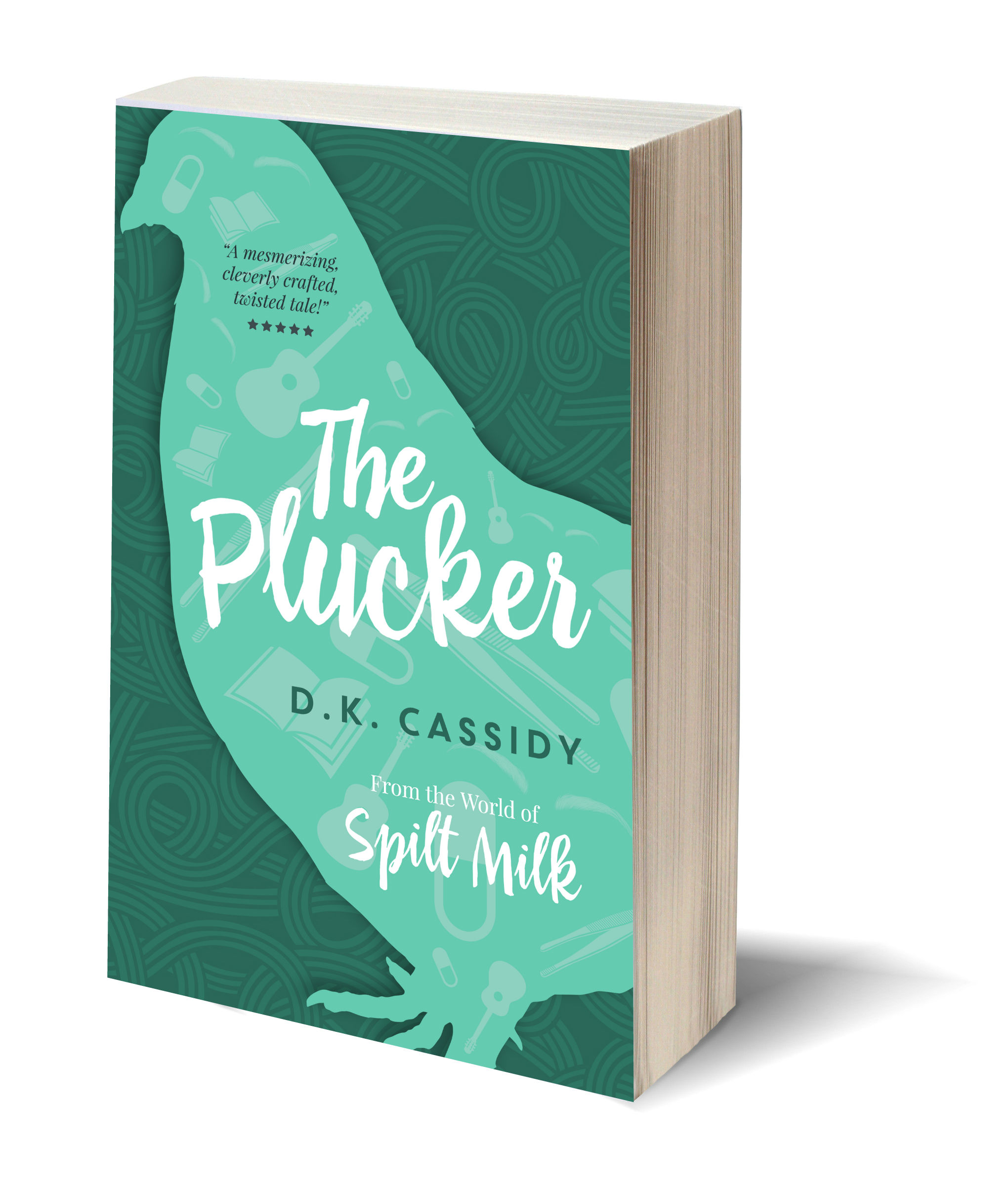 The Plucker 3D-Book-Template