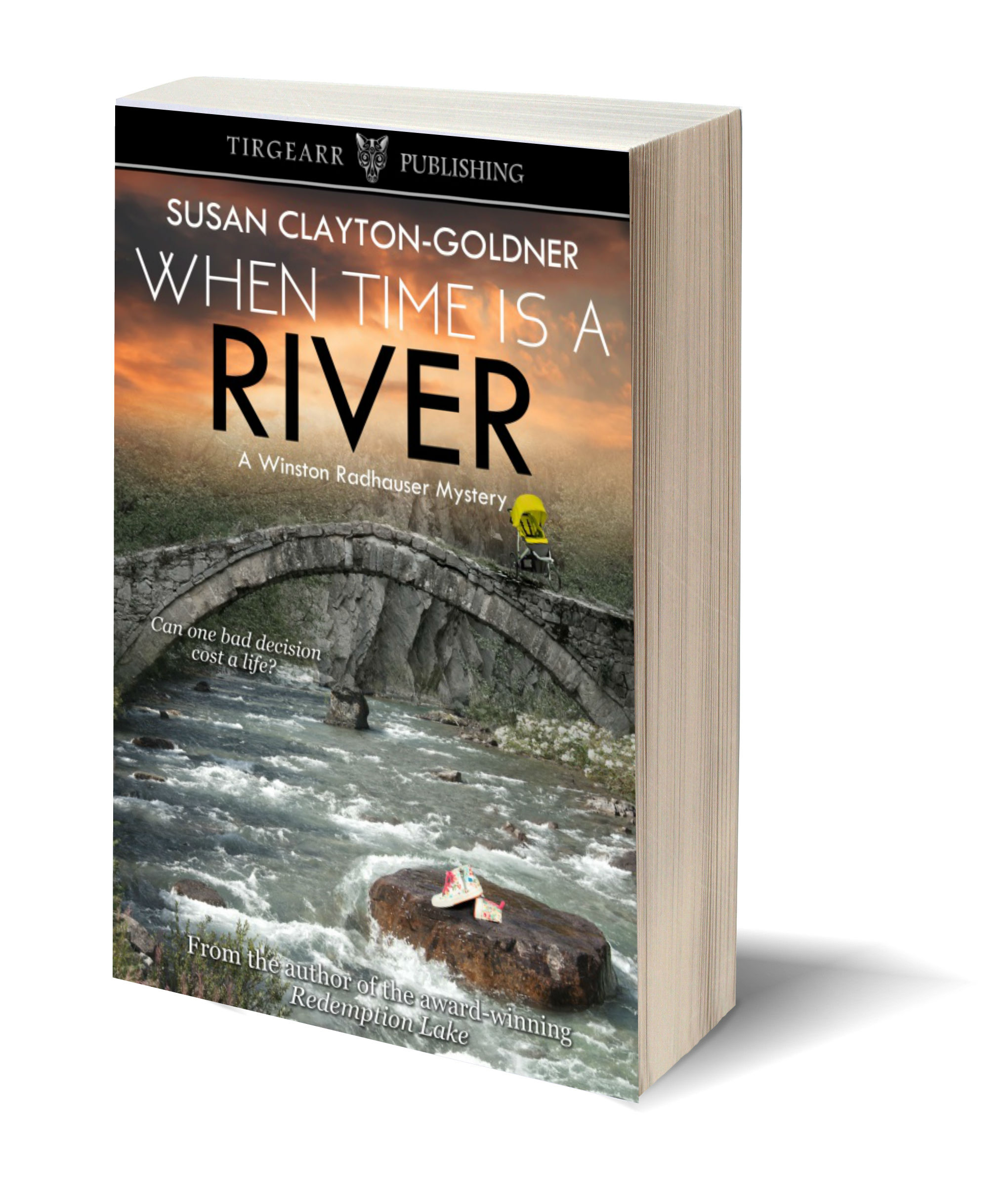 When Time Is A River 3D-Book-Template.jpg