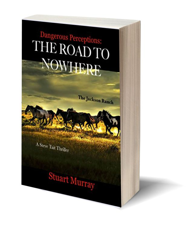 The Road to Nowhere NEW 3D-Book-Template.jpg