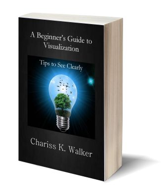 A Beginner's Guide to Visualization 3D-Book-Template.jpg